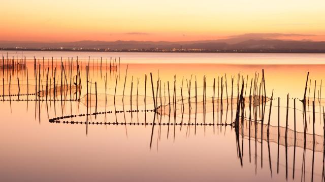 Parque Natural de la Albufera