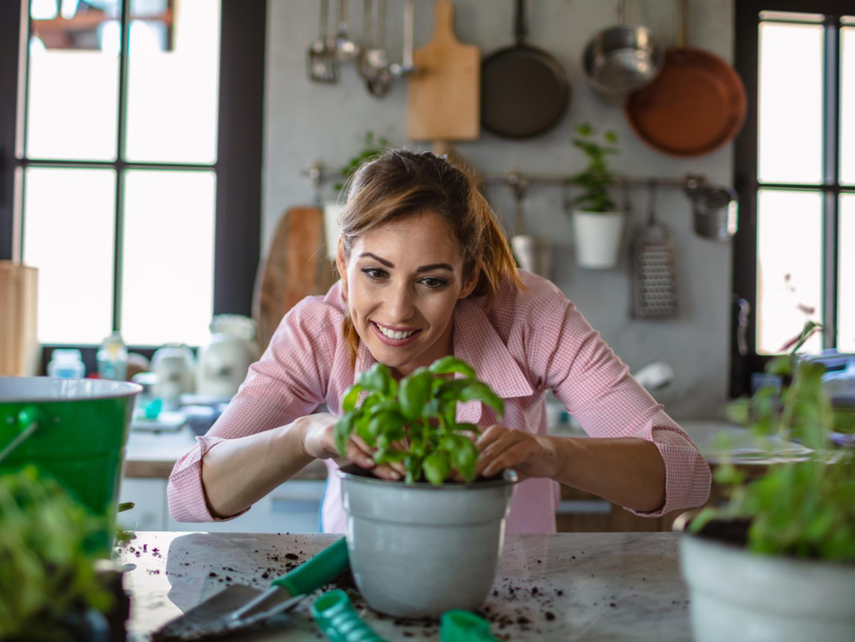 Cultiva tus propias hierbas aromáticas en casa incluso sin jardín