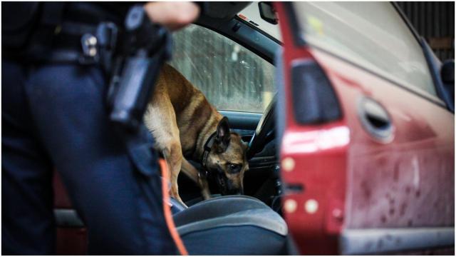 Drogas, coche, delitos.