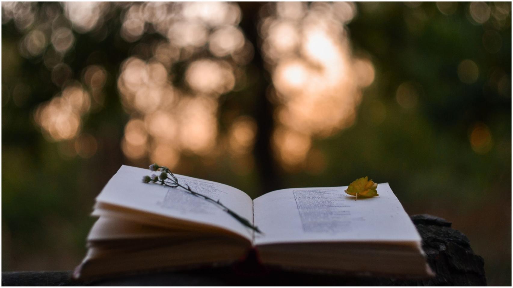 Poesía.