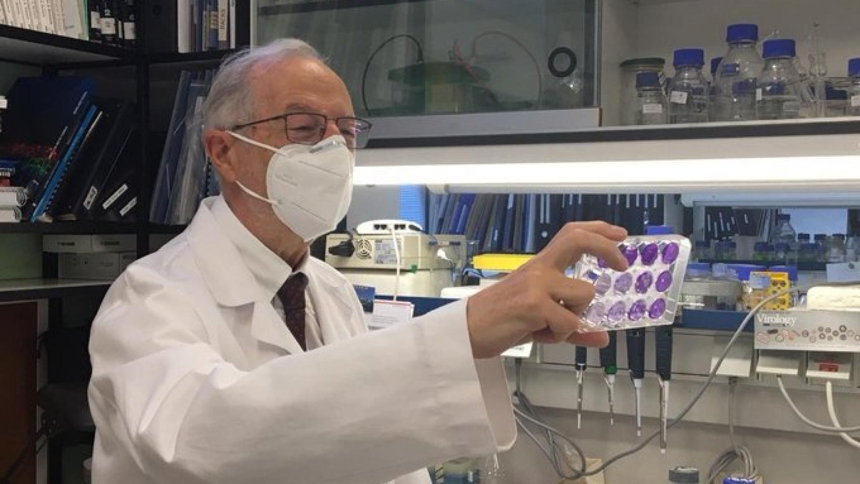 El virólogo Luis Enjuanes, en el Centro Nacional de Biotecnología del CSIC. / CNB-CSIC Comunicación