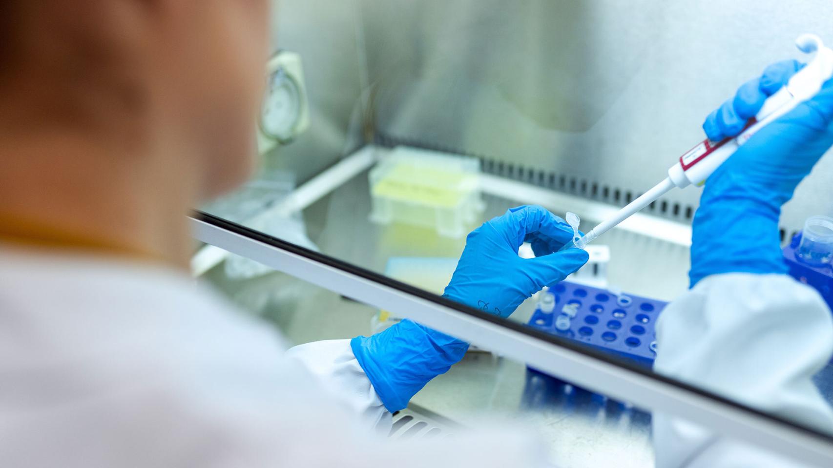 Un científico trabaja en un laboratorio en una imagen de archivo.