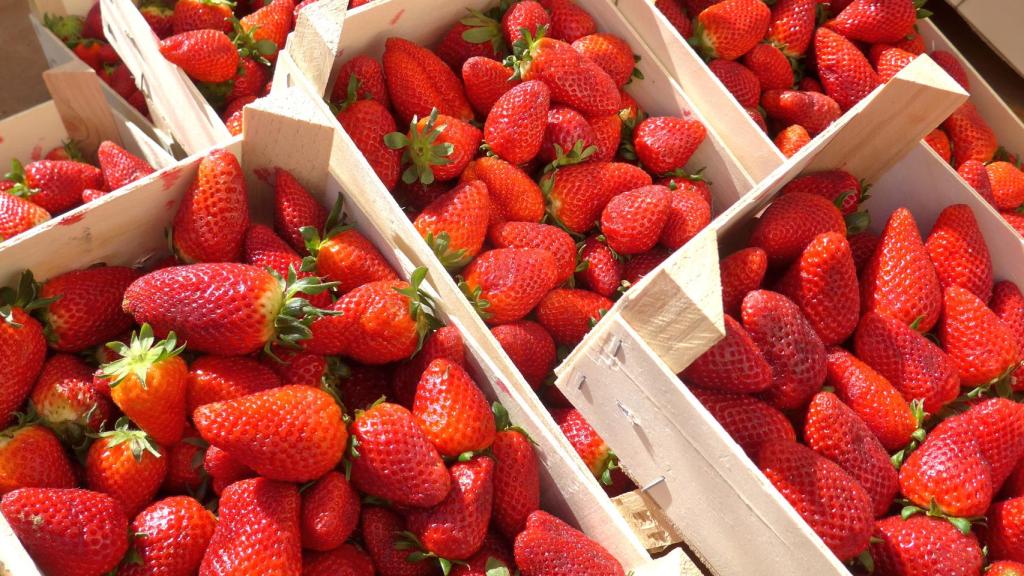 Cajas de fresas para vender.