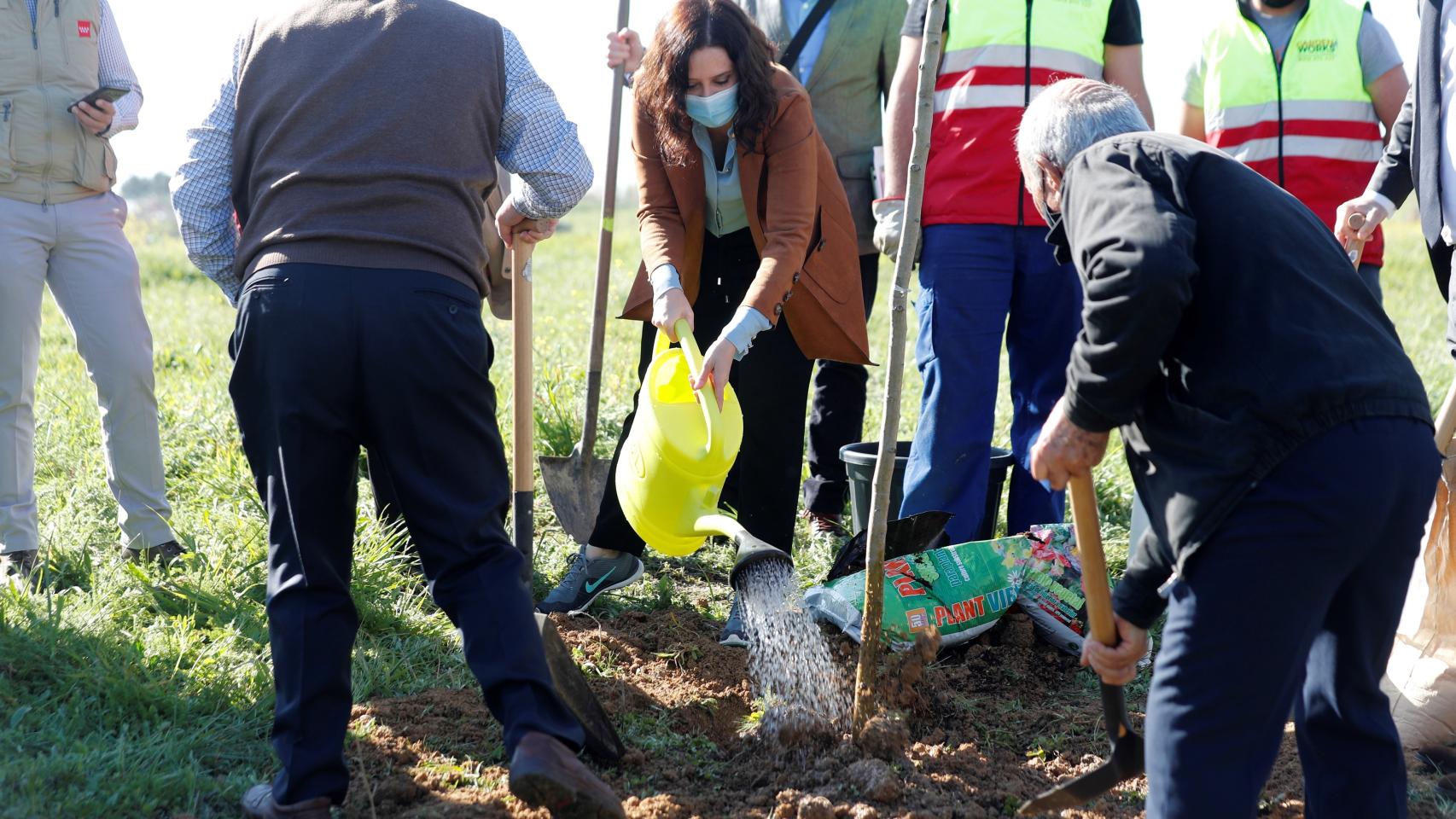 Isabel Díaz Ayuso, en tareas de reforestación tras el paso de 'Filomena' en Getafe, Madrid.