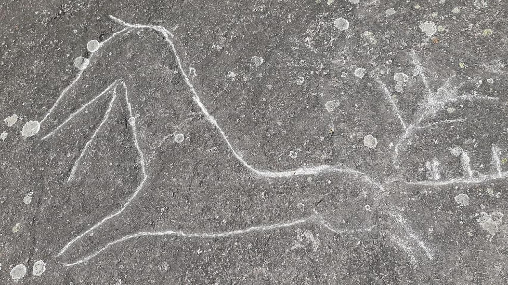 Los petroglifos de Campo Lameiro (Pontevedra) aparecen dañados por vándalos