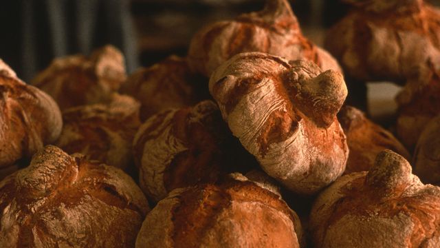 Varias piezas de pan gallego.