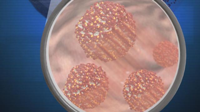 Gráfico de los nanorrobots en la vejiga. Foto: IBEC