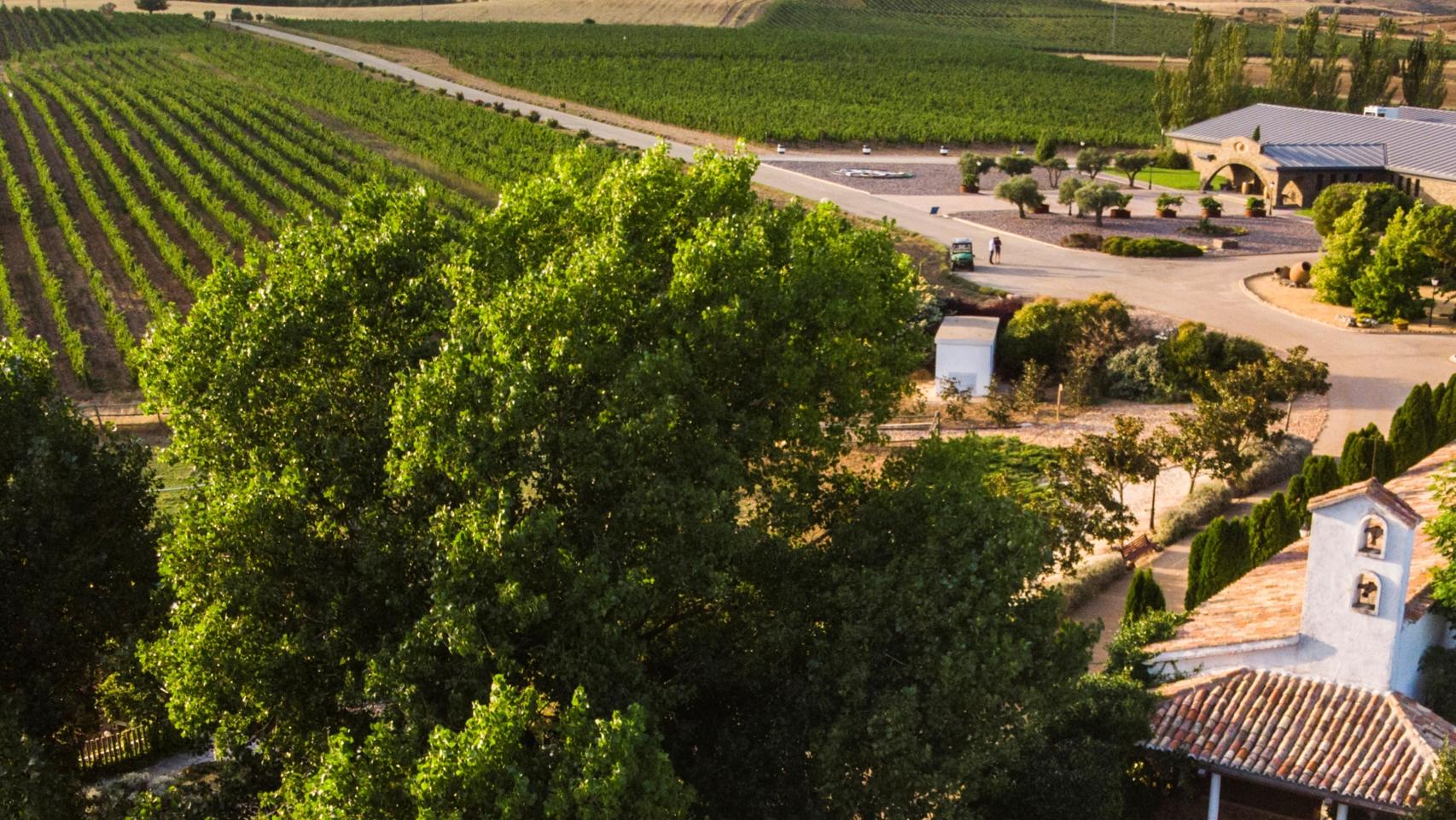 Bodega Finca Río Negro en Cogolludo (Guadalajara).