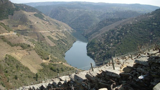 Ribeira Sacra