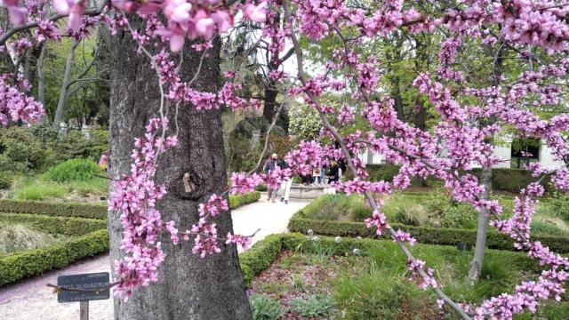 El Jardín Botánico.