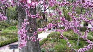 El Jardín Botánico.