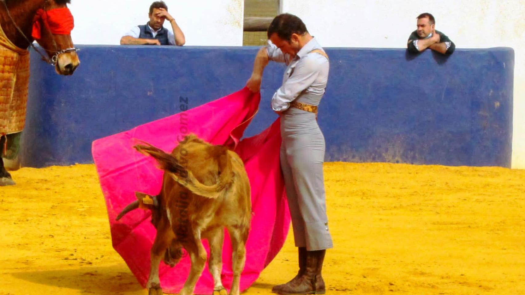 Castilla y León