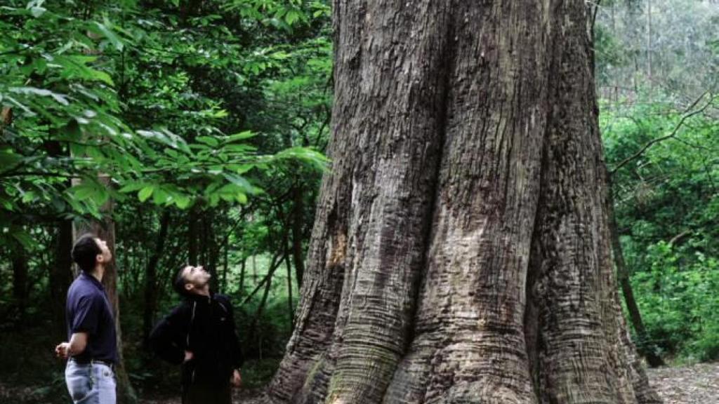 Souto da Retorta  turismo.gal