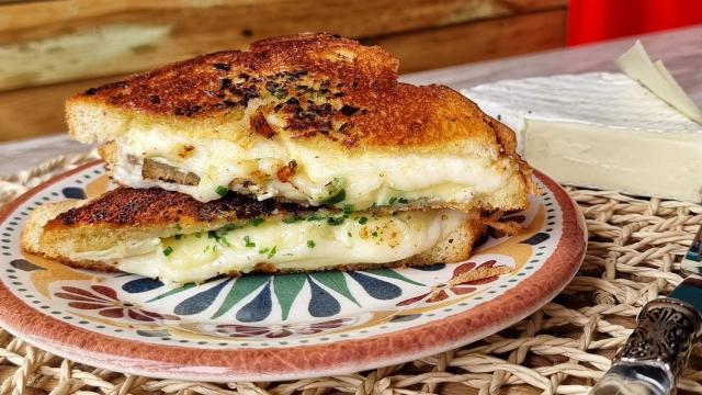 Grilled cheese sandwich