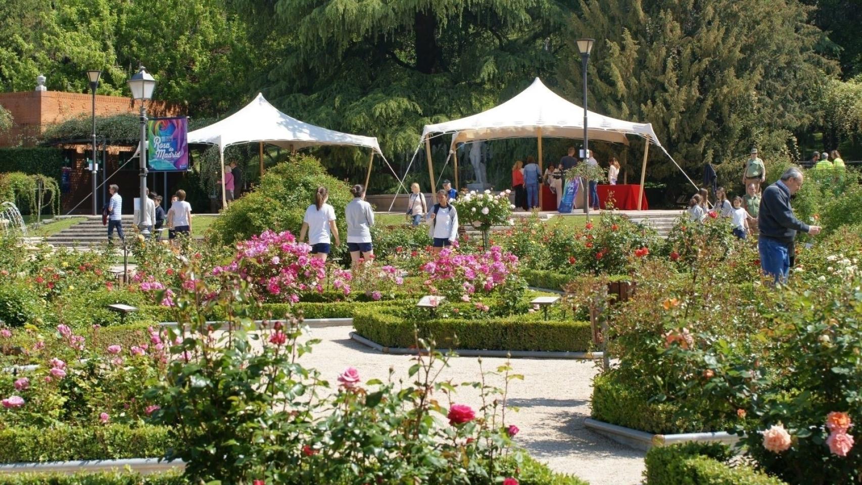 Una foto de archivo del parque del Oeste de Madrid.