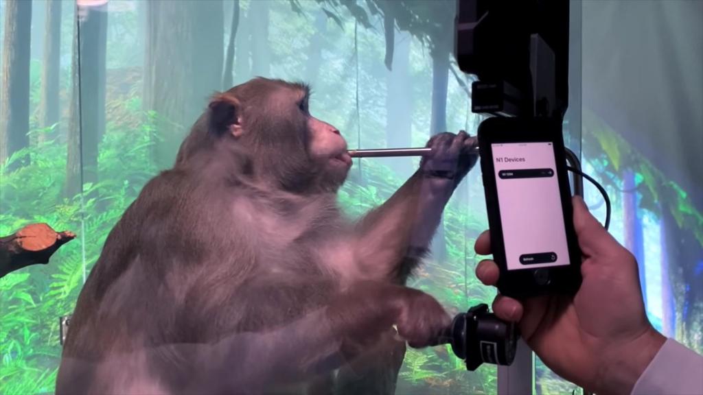 Puedes interactuar con los dispositivos N1 mediante el smartphone.