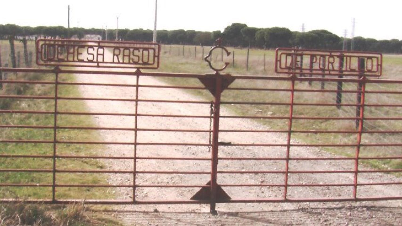 Castilla y León