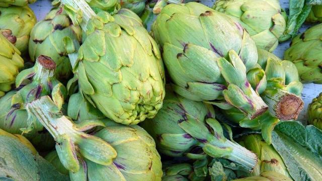 Es temporada de alcachofas: conoce todos los detalles de este superalimento