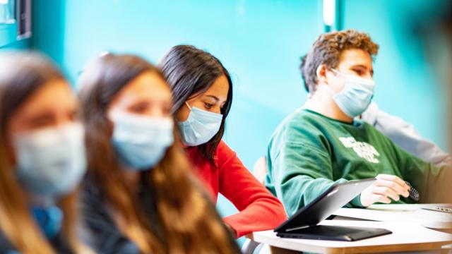 Varios estudiantes durante una clase en la universidad.