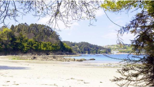 Playa de San Pedro (Sada).