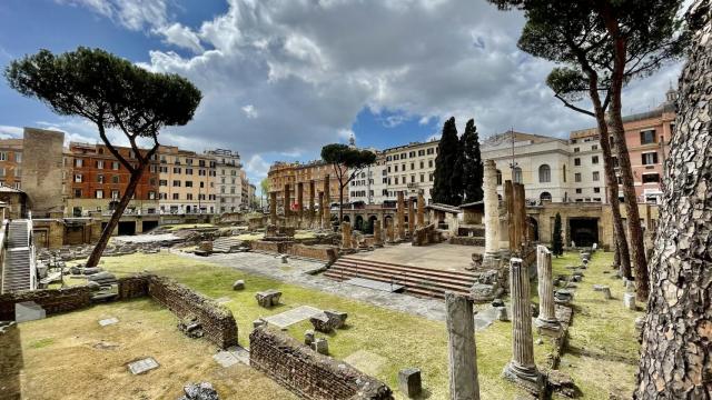 Vista del área arqueológica de Largo Argentina.