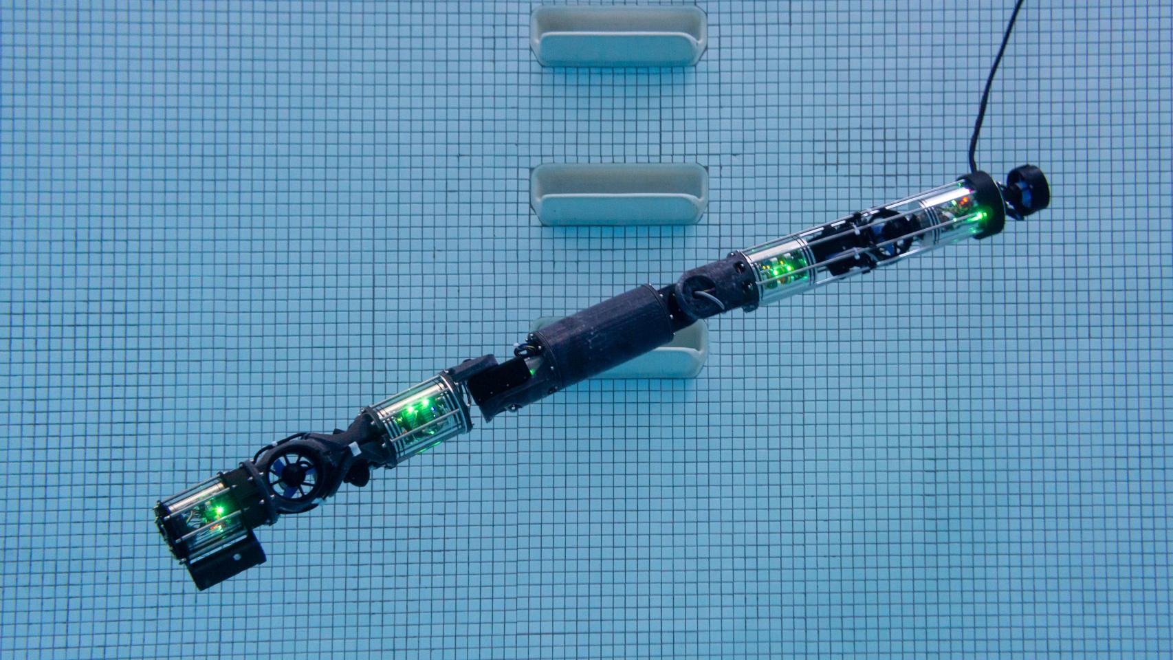 Robot serptiente