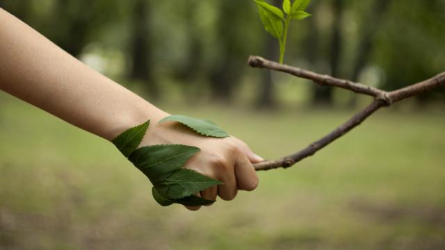 Día Internacional de la Tierra, por qué se celebra y qué hacer