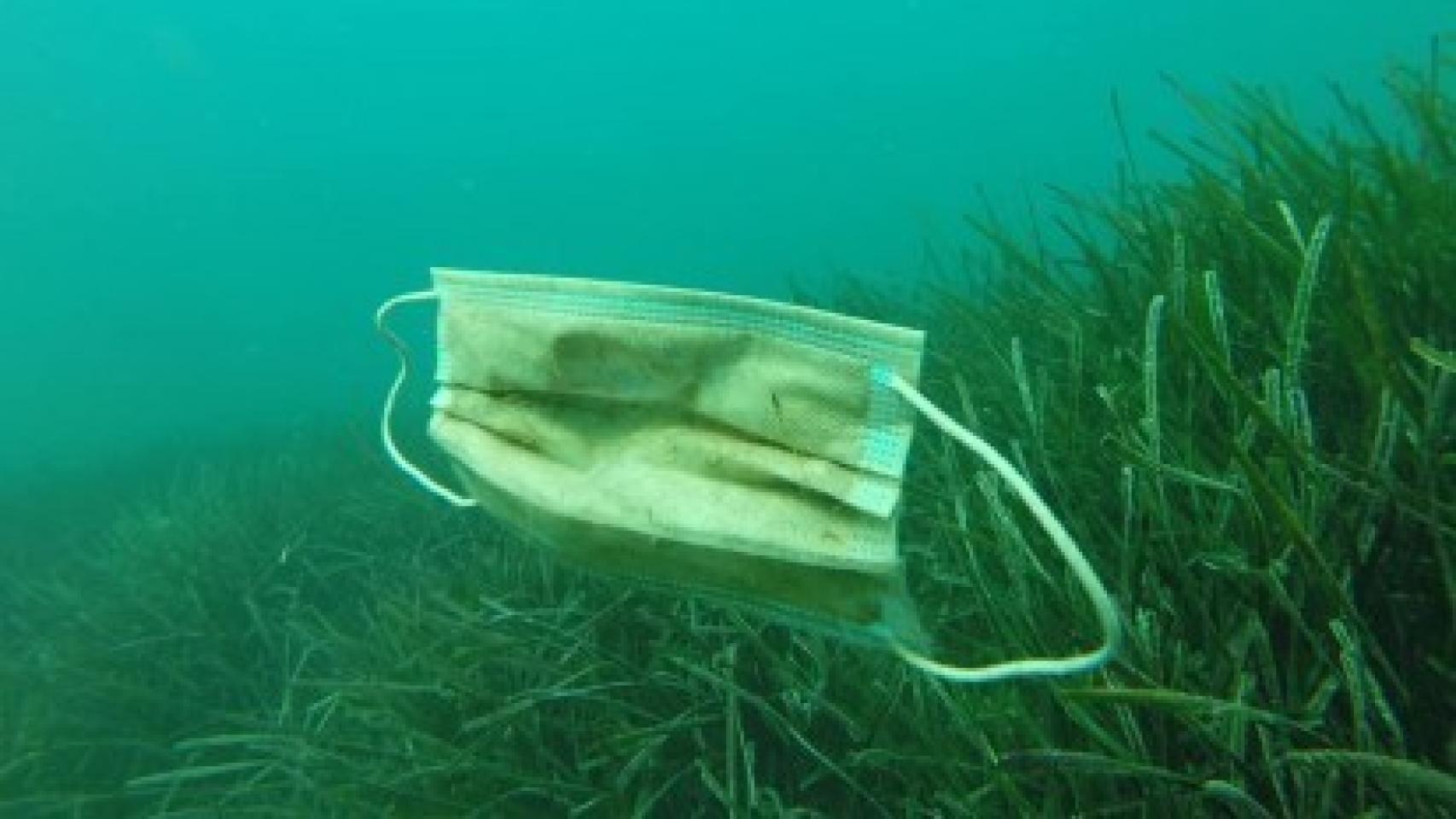 Mascarilla de plástico en el mar.