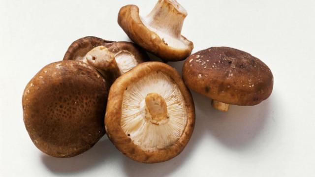Setas shiitake.