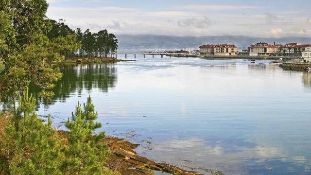 Vilanova de Arousa (Pontevedra).