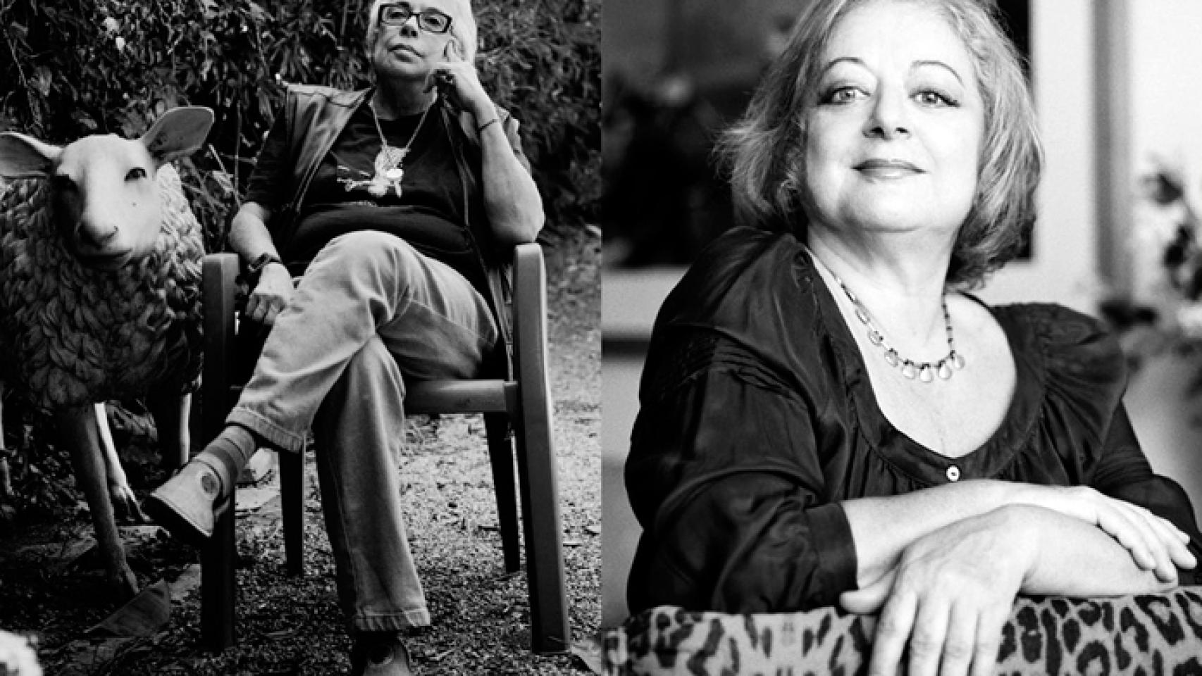 esteladecastro-ambito