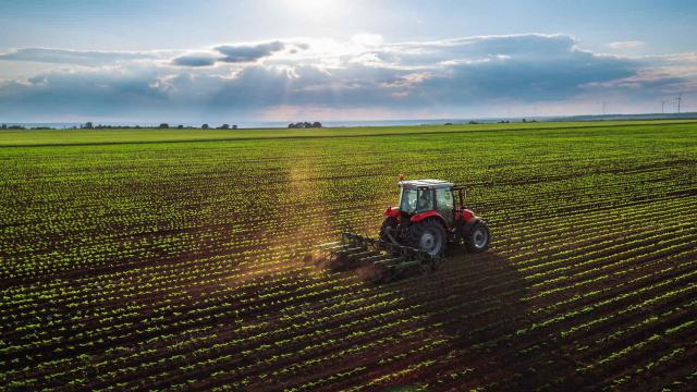 ‘De la Granja a la Mesa’, la propuesta de PERTE liderada por Campofrío para transformar el campo español