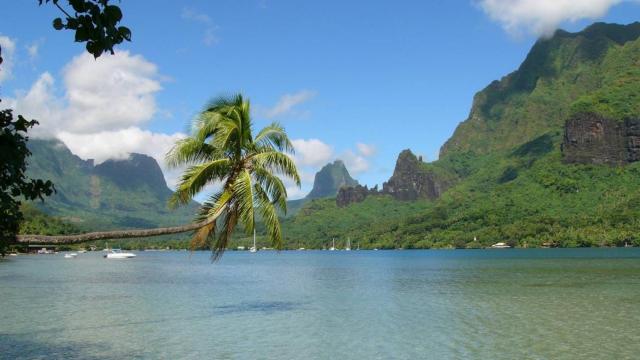 Bahía de Cook, situada en Moorea (Polinesia Francesa).