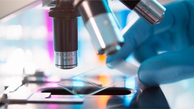 El complejo proceso de crear un medicamento: por qué solo uno de cada 10.000 candidatos sale adelante