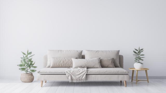 Los mejores trucos para limpiar paredes blancas correctamente.