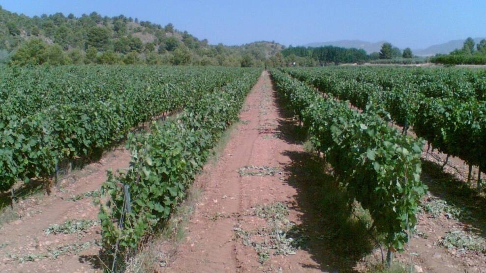 Digital Castilla