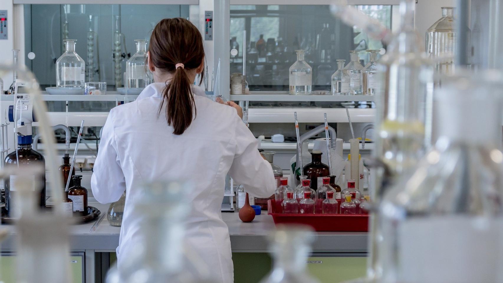 La UMH estudia el uso de compuestos marinos como potencial fármaco contra el cáncer