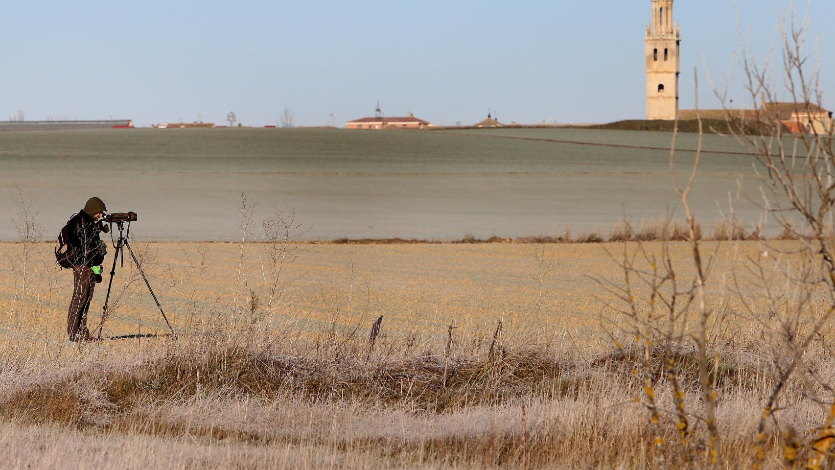 Castilla y León