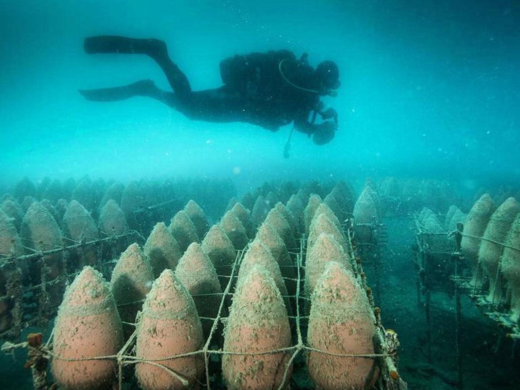 Las profundidades del océano aportan al vino matices diferenciadores.