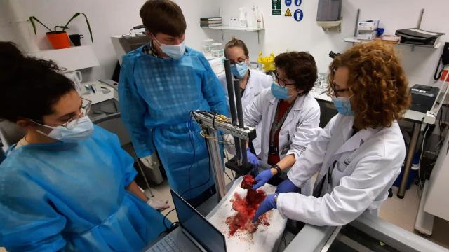 El equipo de investigación de Miwendo en sus laboratorios realizando una de las pruebas.