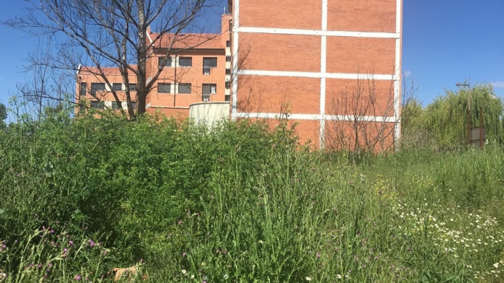limpieza de solares
