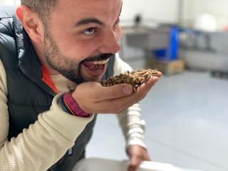 Uno de los fundadores come grillos en la fábrica Origin Farms.