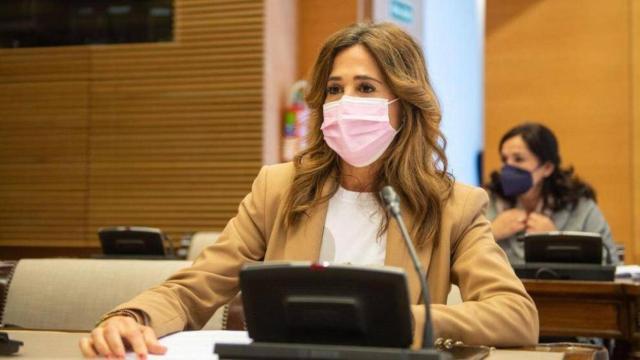 La diputada ciudadrealeña Rosa Romero en la Comisión de Industria del Congreso