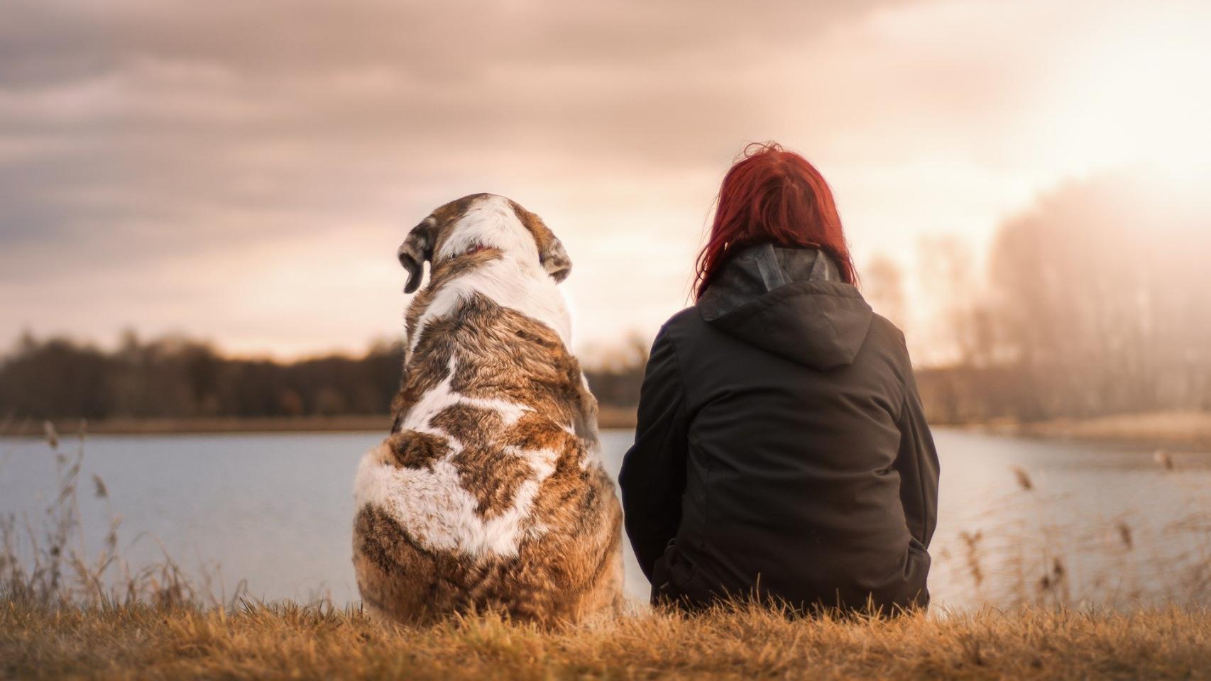 5 cosas que los perros odian de los humanos