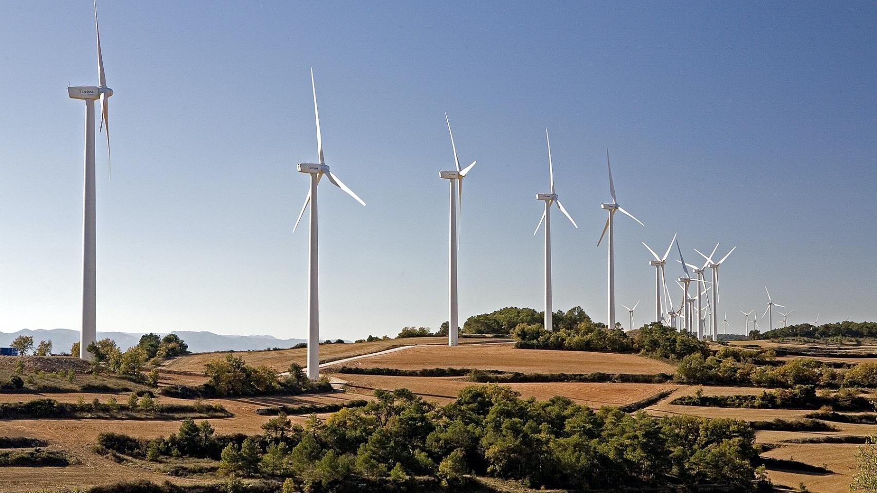 Acciona acuerda con Vertex Bioenegy el suministro de energía eléctrica renovable durante un año
