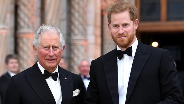 El príncipe de Gales junto a su hijo, el príncipe Harry.