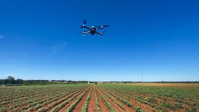 La primera finca agrícola de Bayer en España ubicada en Carmona (Sevilla)