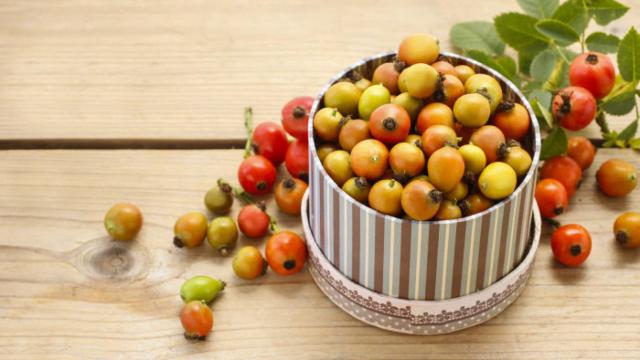 Cesta de escaramujos, ricos en vitamina C y antioxidantes.