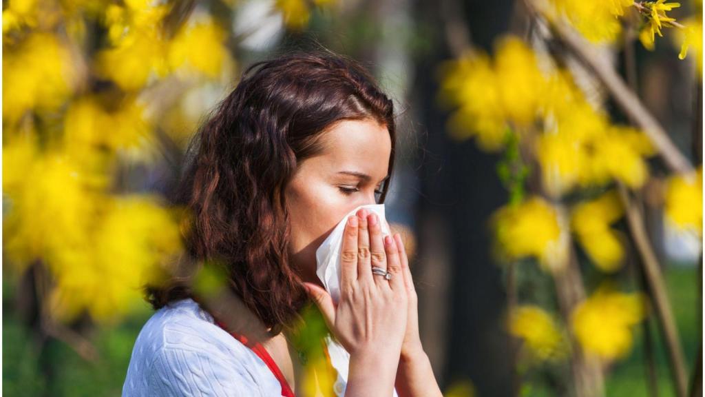 Una persona con alergia.
