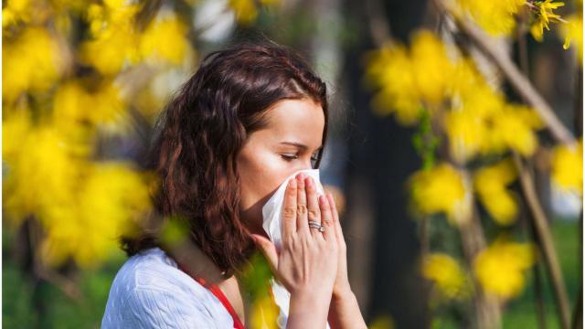 Polen, alergia.